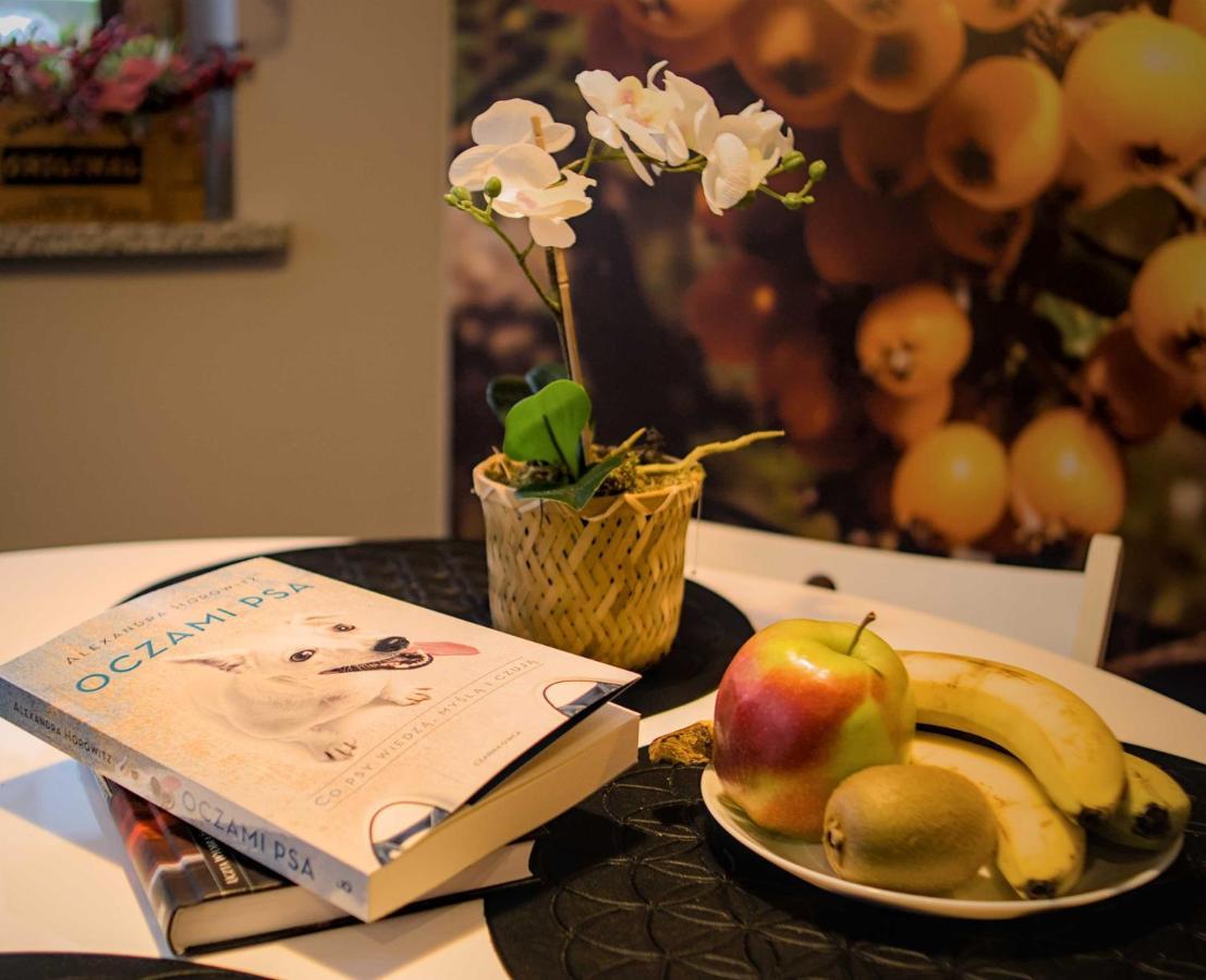 Czerwona Jarzebina Karpacz Centrum ภายนอก รูปภาพ